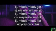 Kubańczyk-Młody Kot