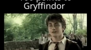 100 punktów dla Gryffindoru