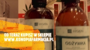 Konopna Farmacja Poznań - HISKIN