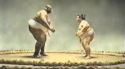Sumo show