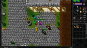 TIBIA WESOLY ROOKSTAYER (81 LVL ROOK) HACKED!