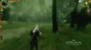 Wiedźmin gameplay