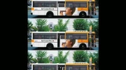 Pomalowane Autobusy