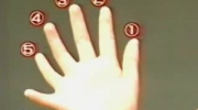 6 palców