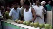 Rekordzista w robijaniu kokosów