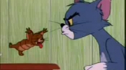 Tom i Jerry - Tchórzliwy kotek