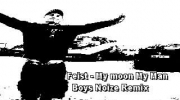 Feist - My Moon My Man