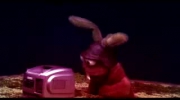Reggae Rabbits - Niemiecki Pornos