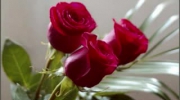 Video Nasze róże-Bernadeta Kowalska - Bernadeta Kowalska - Dailymotion Share Your Videos.....EDEN..