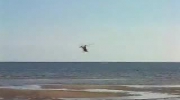 Helikopter  poleciał w morze