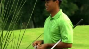 Tiger Woods - błąd w grze