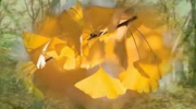 Żółty jesienny liść ...EDEN...