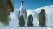 rapujace pingwiny