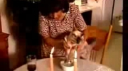 Nauczyła kota jeść nożem i widelcem
