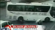 Autobus kontra człowiek