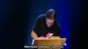 Ricky Gervais - "Homoseksualne zwierzęta"