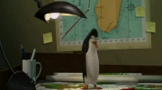 Pingwiny Kompilacja 1