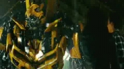 Bumblebee - I'm So Excited