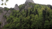 Pieniny: Biała Woda, Palenica, Sokolica