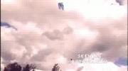 Surfer Flys