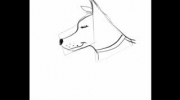 Jak narysować psa
