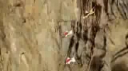 Extreme Base Jumping in Wingsuits