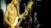 Desecration Smile - Red Hot Chili Peppers High Quality