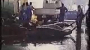 Mordowanie delfinów w Japonii
