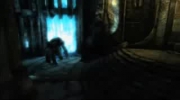 Laras Shadow Combat Gameplay Video