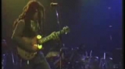 Bob Marley - Live at Dortmund 1980 (1/8)