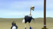 Animation race btween penguin and ostrich