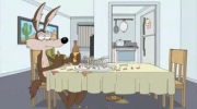Kojot i Struś Pędziwiatr - Family Guy