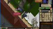 Ultima Online - Wilkolak vs Magowie