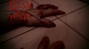 Flesh Area (2009)