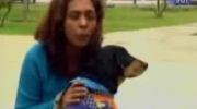 Eksperyment na porwanym psie w Peru