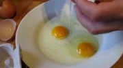 Kura znosi jajka 2w1