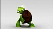 Gangsta Turtle-Żółw gangsta