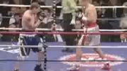 Tomasz Adamek vs Paul Briggs Box Boks Part 1