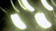 2009-11-23 14:26:28