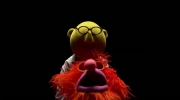 Muppety oddają hołd zespołowi Queen