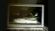 2009-11-27 12:11:01