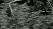 2009-11-28 00:46:41