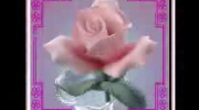 2009-11-29 17:14:35