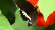 2009-12-03 23:49:36