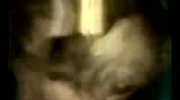 2009-12-07 17:28:54