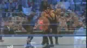 undertaker vs mark henry vs big daddy