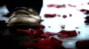 2009-12-26 23:19:29