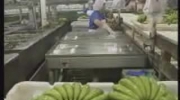 W Lidlu sprzedawali banany z heroiną