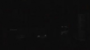 2010-01-04 19:55:29