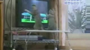 koty patrzące się na telewizor
